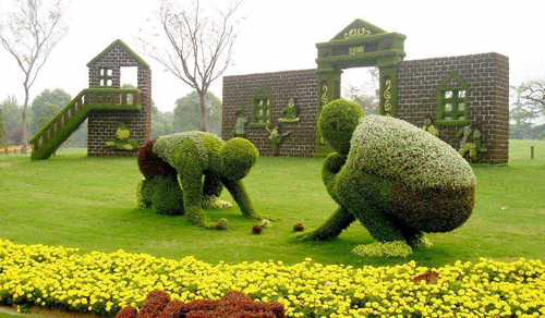 五色草的繁殖、應(yīng)用及養(yǎng)護(hù)管理