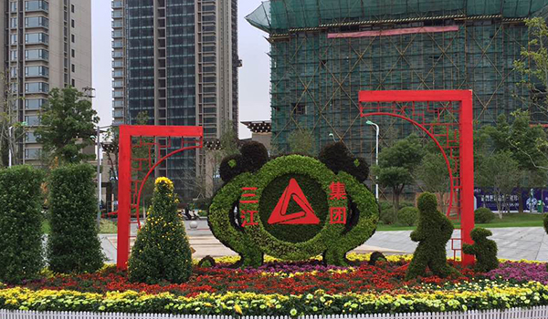 五色草栽培技術(shù)