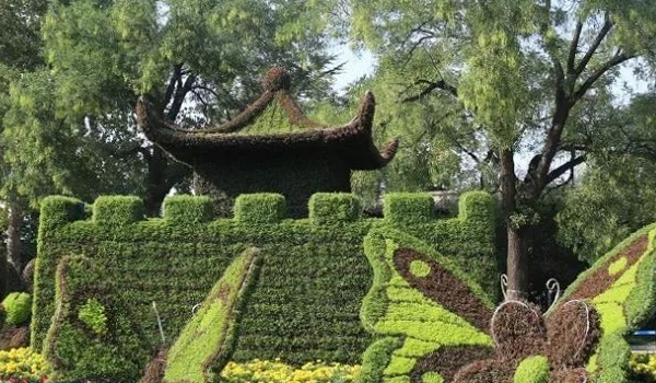 五色草立體花壇的制作與養(yǎng)護(hù)方法