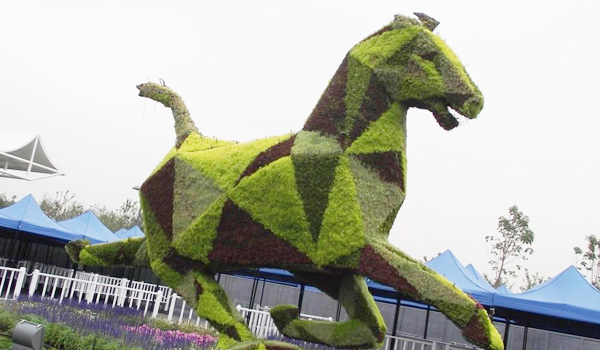 花卉栽培：簡(jiǎn)單環(huán)保的制肥方法